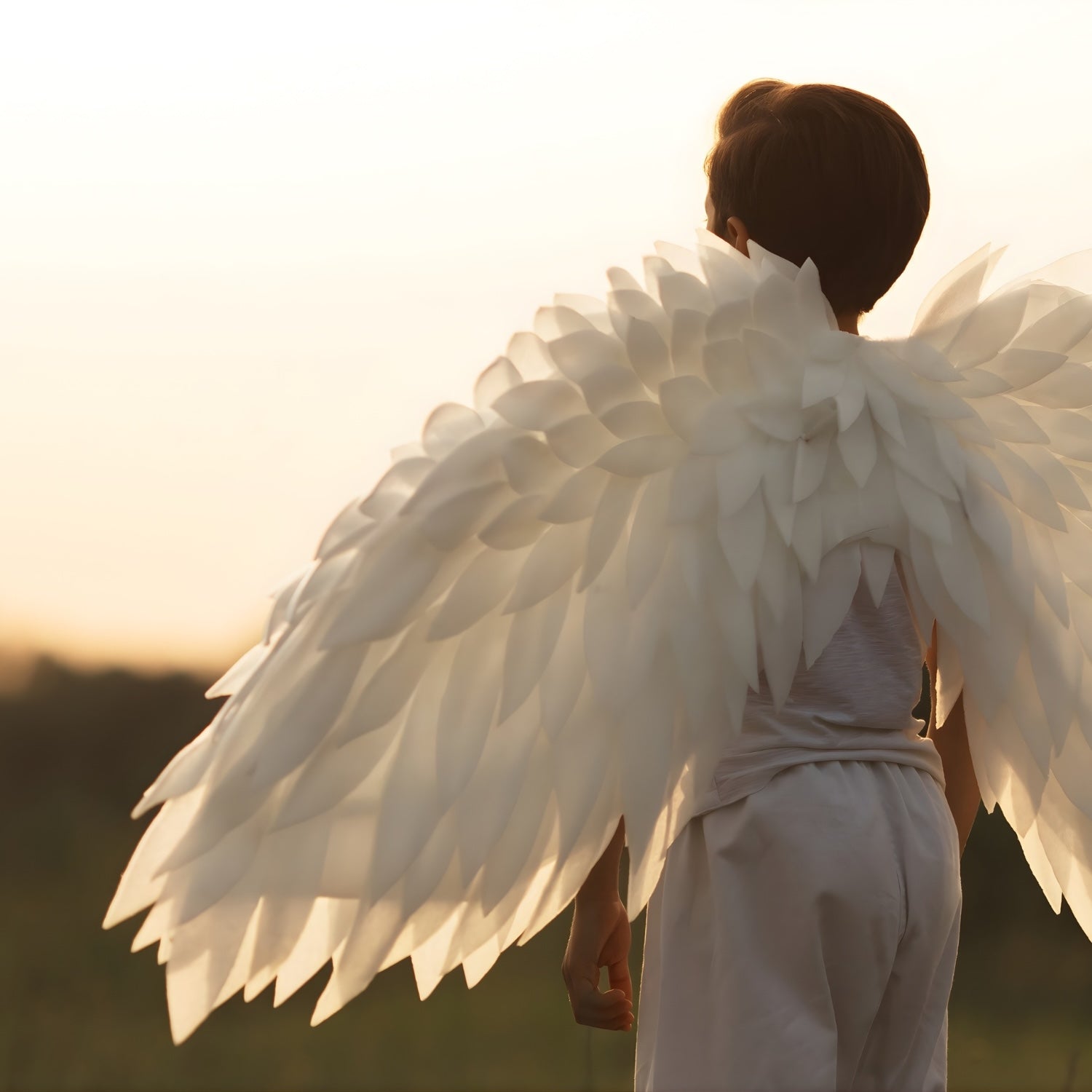 Angelske meditacije