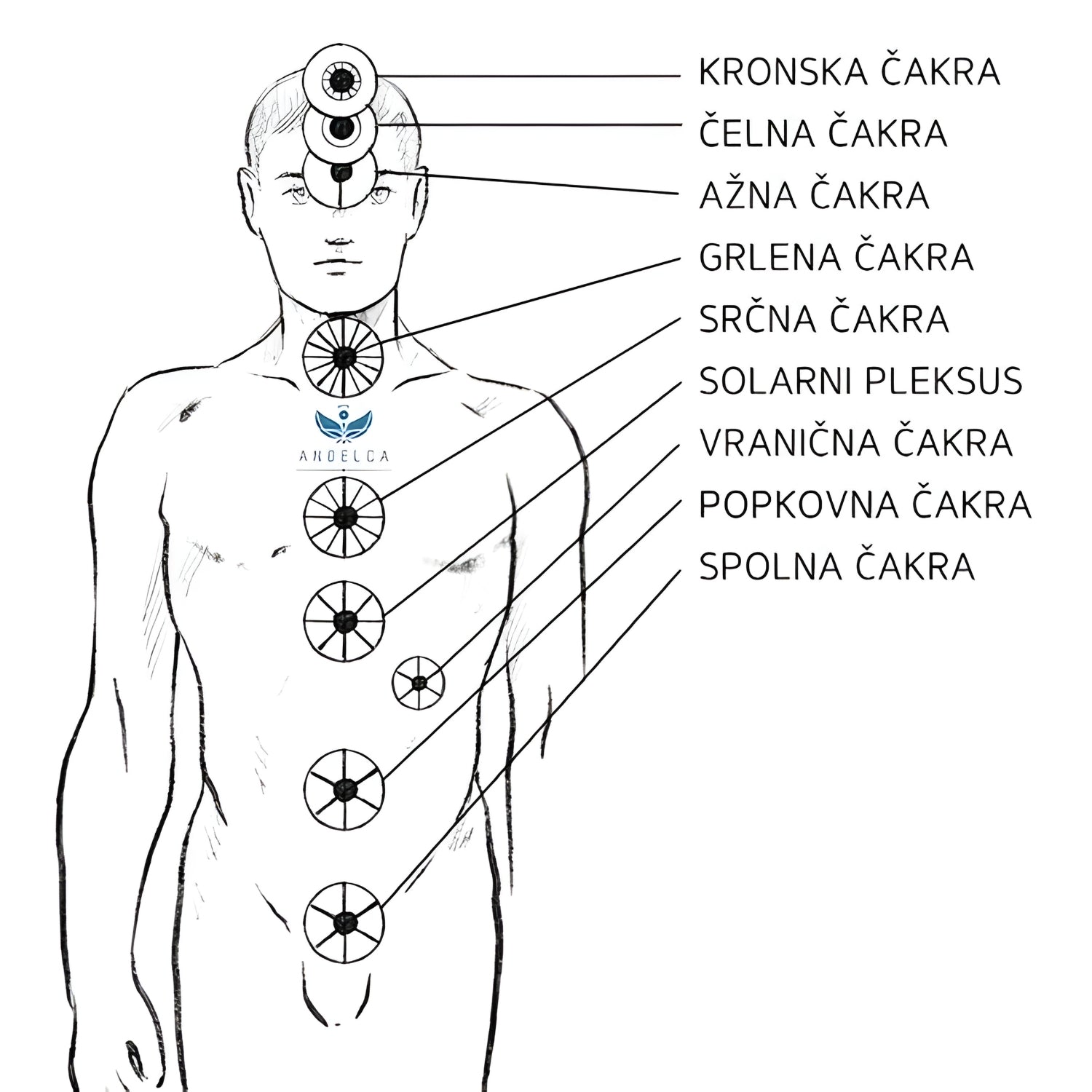 Trgovina Angelca