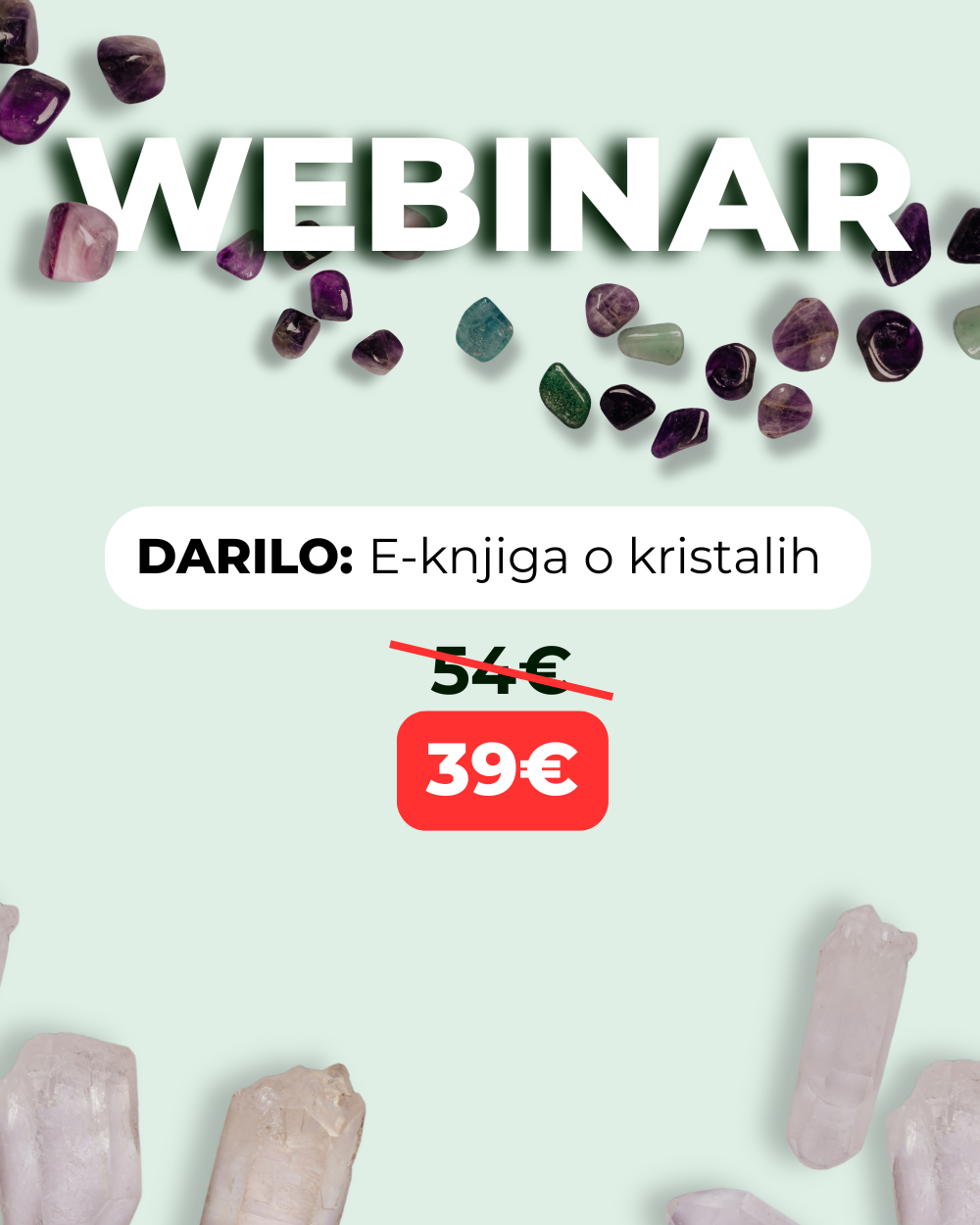 Trgovina Angelca