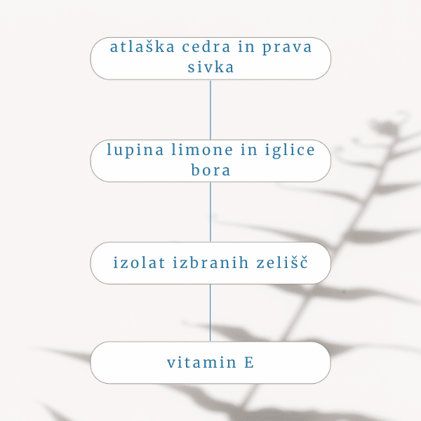 aromaterapevtski sos roll on