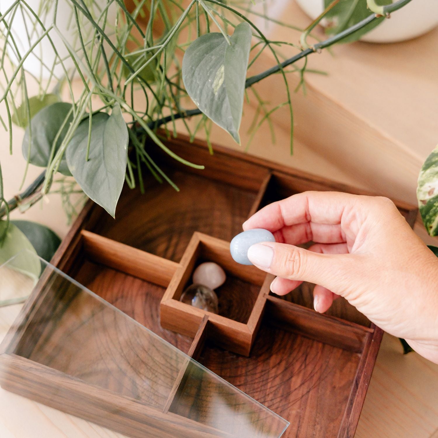 life-box in kristali