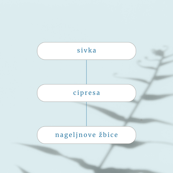 Sprej za auro in prostor Athena - za modrost in intuicijo