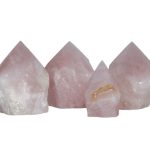 Roževec koničasta oblika